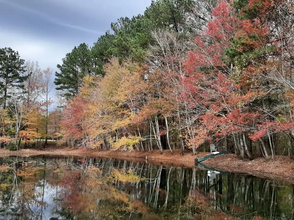 905 Neptune Trail, Appling, GA 30802 - Image #1