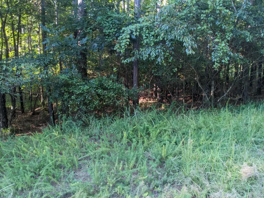 LOT 24 Savannah Ridge Road, Lincolnton, GA 30817 - Image #2
