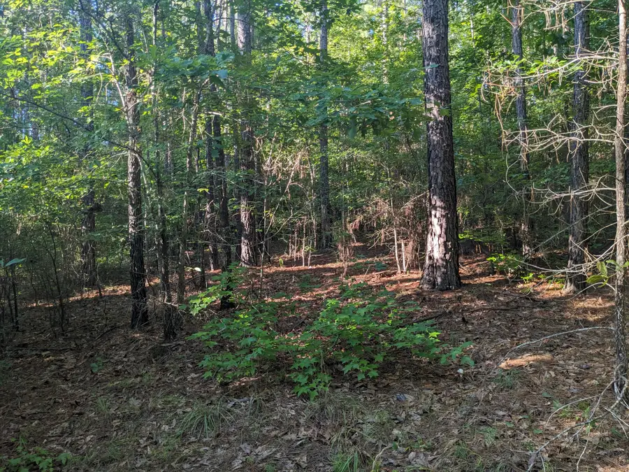 LOT 24 Savannah Ridge Road, Lincolnton, GA 30817 - Image #3
