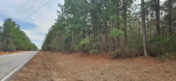 0 Hwy 220 Tract B, Lincolnton, GA 30817