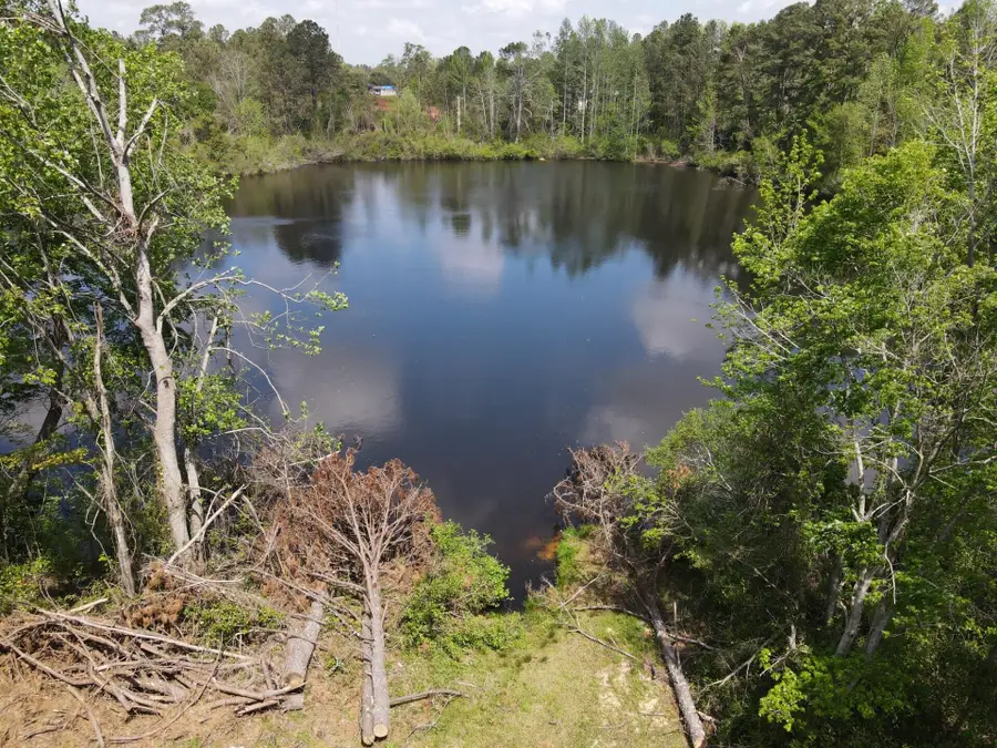 1163 Fairlane Drive, Louisville, GA 30434 - Image #3