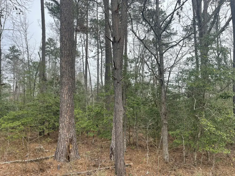 5719 Broad Oak Drive, Grovetown, GA 30813 - Image #3