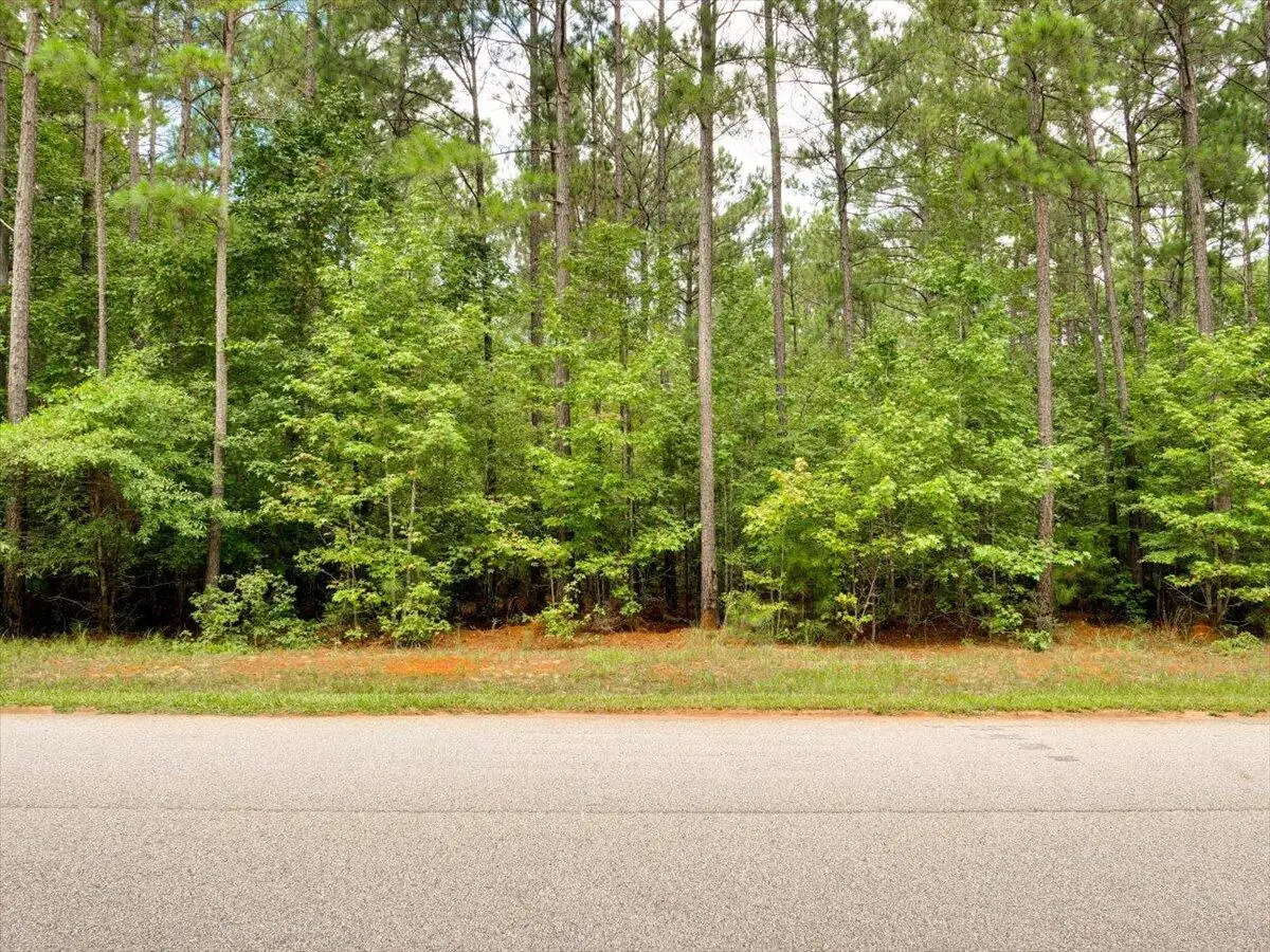 Lot 57 Lighthouse Pointe, Lincolnton, GA 30817 - Image #1