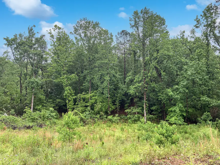 610 Savannah Barony Drive, North Augusta, SC 29841 - Image #2