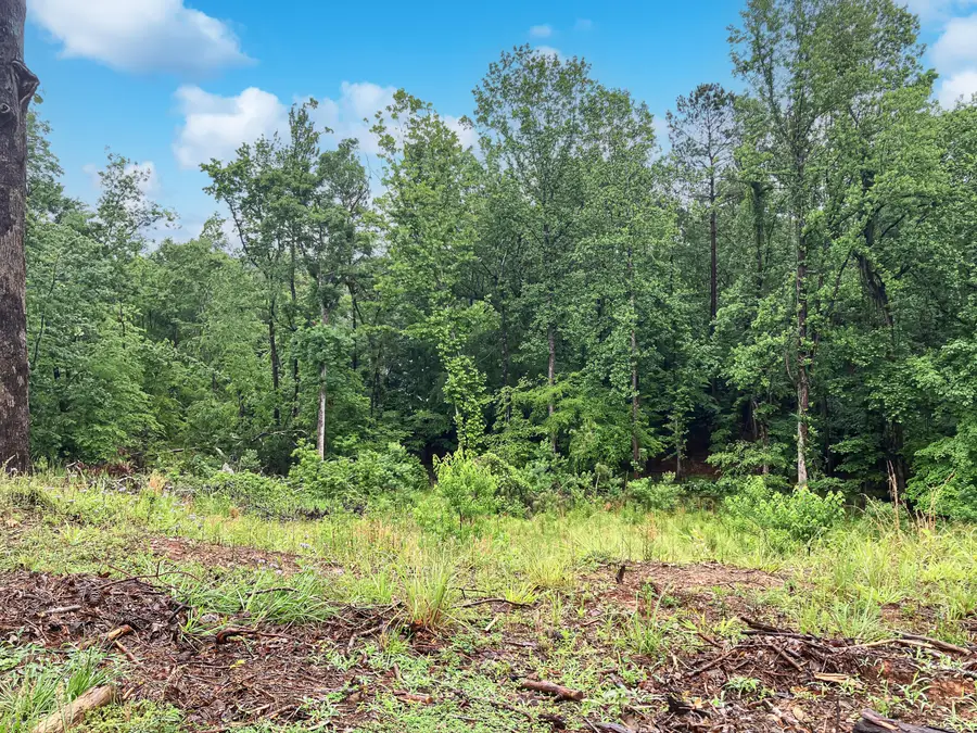 610 Savannah Barony Drive, North Augusta, SC 29841 - Image #3