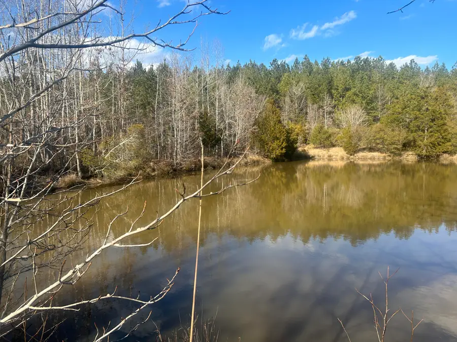 265 Lost Pond Lane, Appling, GA 30802 - Image #2