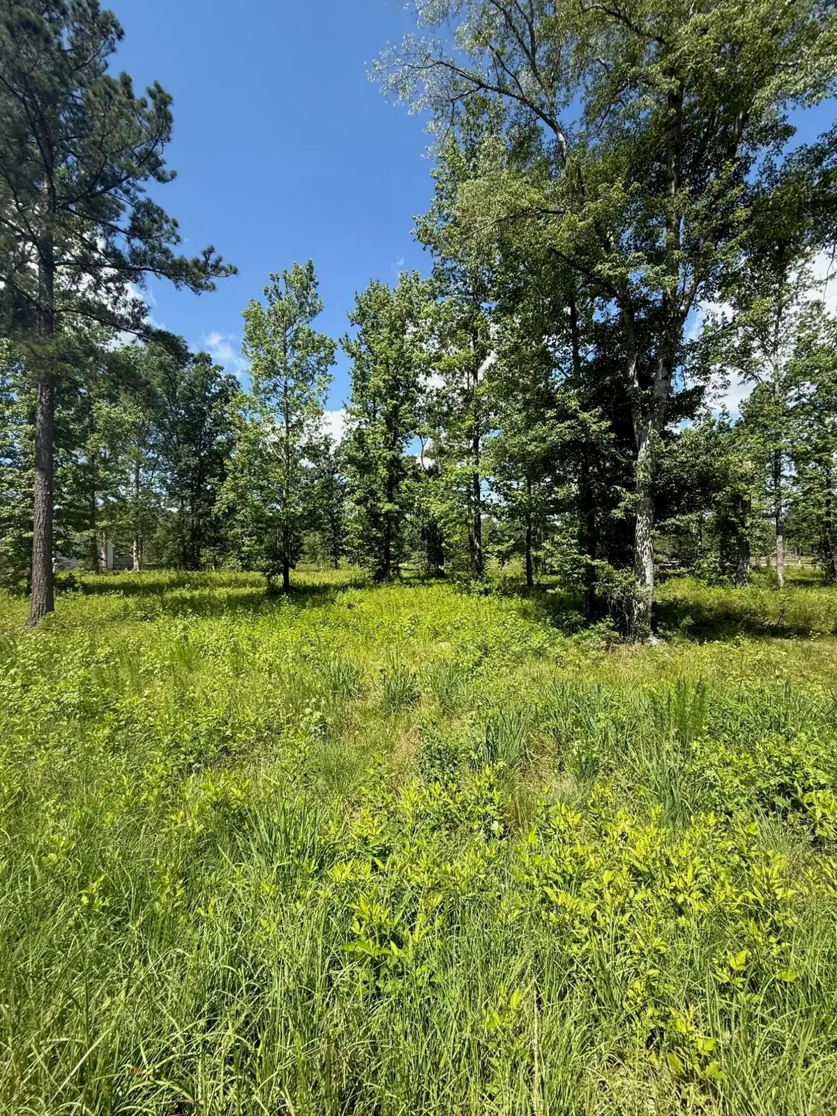 385 Shagbark Way, Harlem, GA 30814 - Image #1