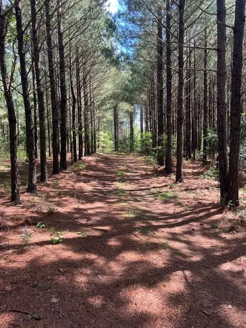 3199 Dozier Road, Appling, GA 30802 - Image #2