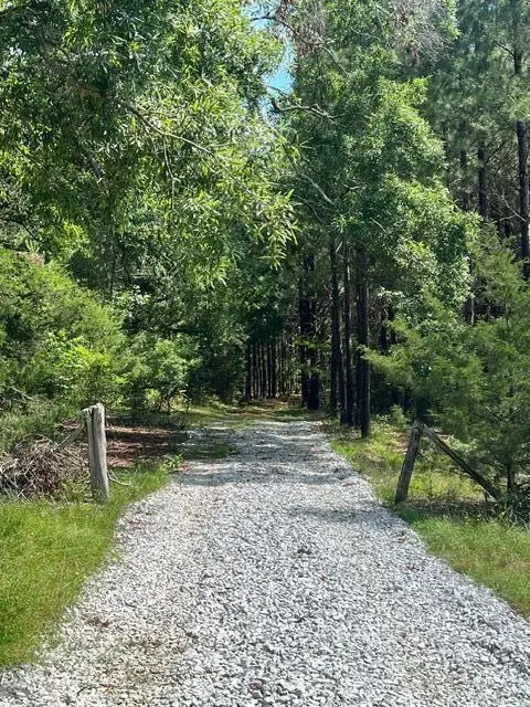 3199 Dozier Road, Appling, GA 30802 - Image #3