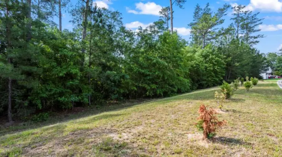 Lot S-17 Scarborough Pass, Aiken, SC 29801 - Image #2