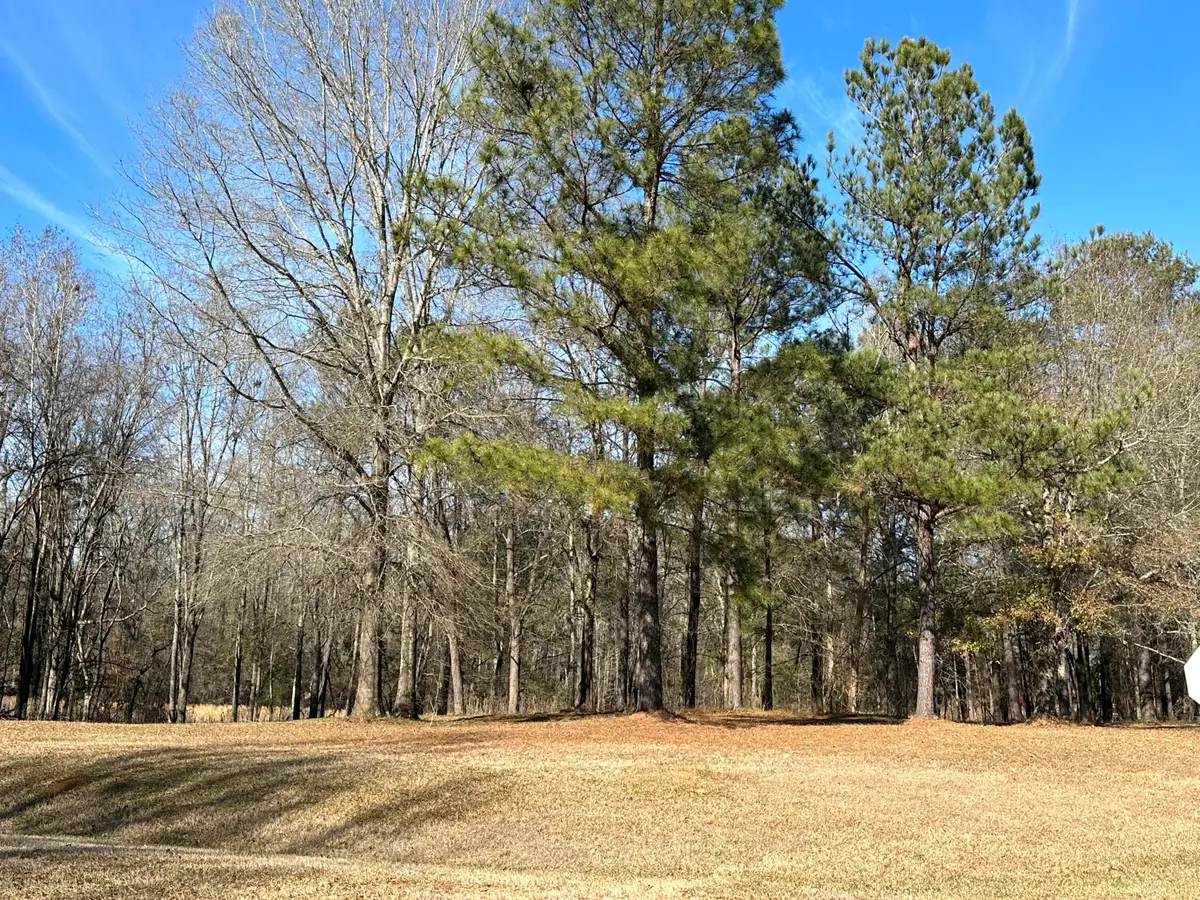 37 Crestridge Dr (lot 37) Drive, Waynesboro, GA 30830 - Image #1