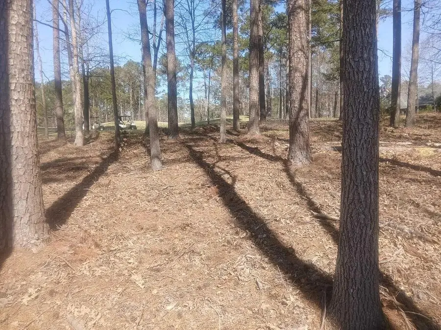 19 Belfast Court, North Augusta, SC 29860 - Image #3