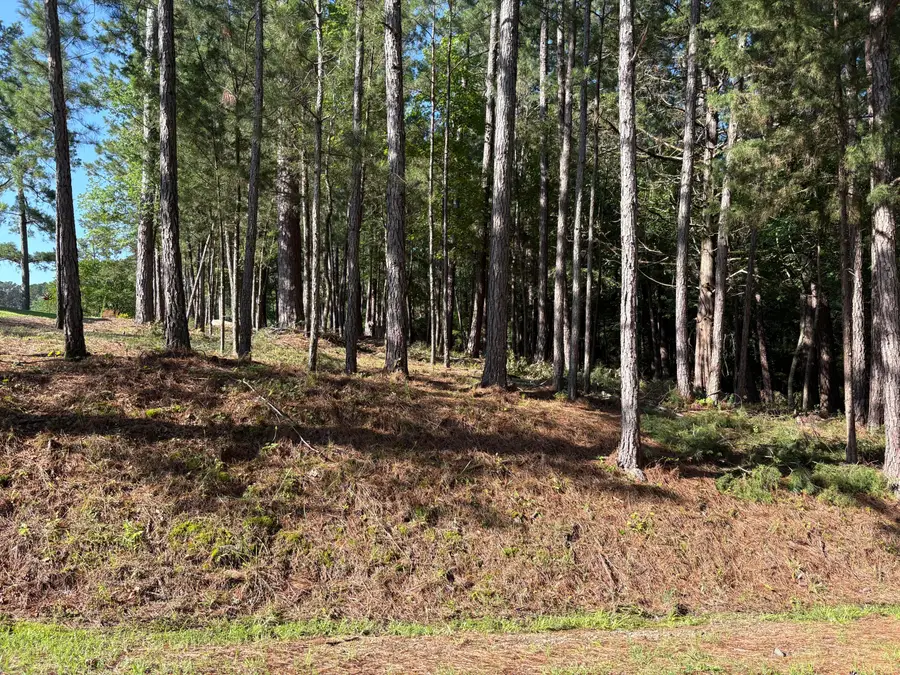 309 Vista Lane, McCormick, SC 29835 - Image #3