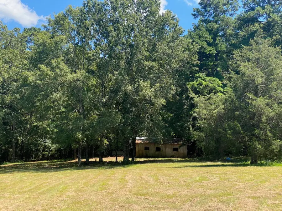 2829 Sellars Road, Appling, GA 30802 - Image #3