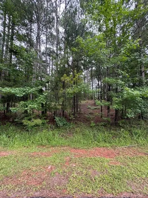 L3, B66 Crescent Drive, McCormick, SC 29835 - Image #2