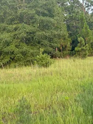 0 Hancock Landing Road, Waynesboro, GA 30830