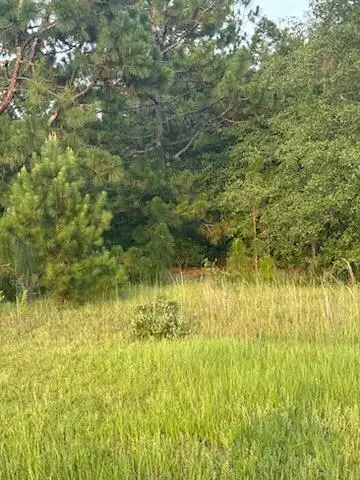 0 Hancock Landing Road, Waynesboro, GA 30830 - Image #2