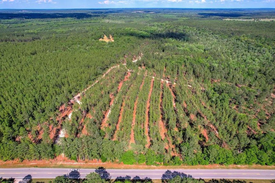 80 Acres Columbia Highway, Ridge Spring, SC 29129 - Image #2