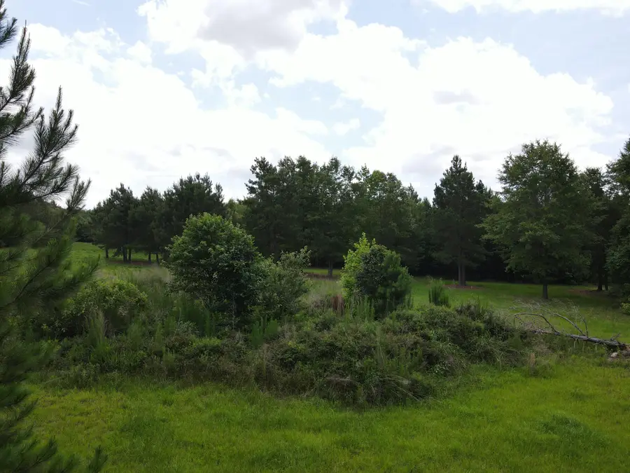 00 Reynolds Road, Barnwell, SC 29812 - Image #3