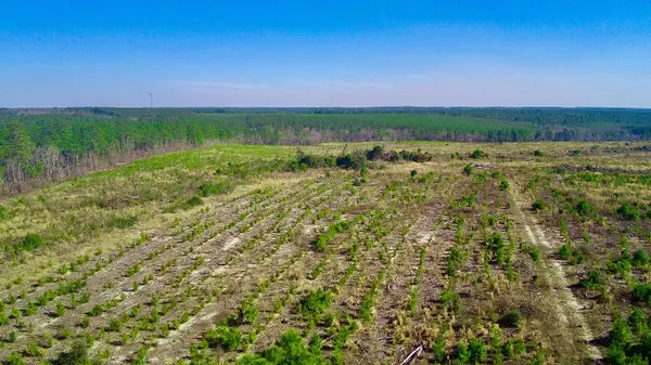 000 Three Notch Road, Monetta, SC 29105