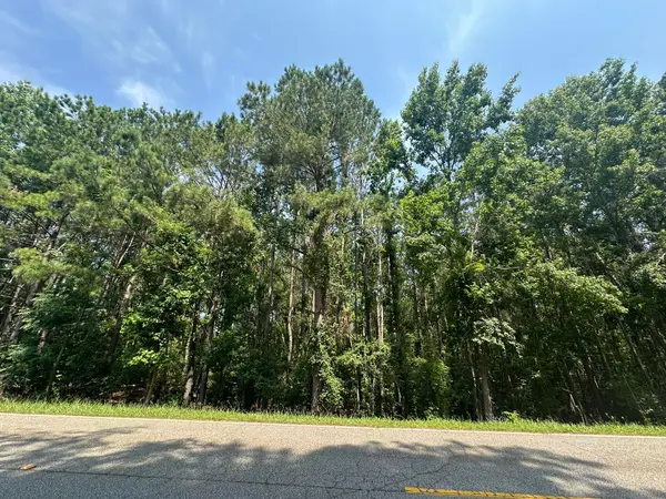 Lot 1-E Ridge Road, Appling, GA 30802