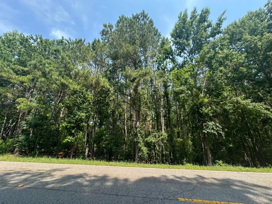 Lot 1-E Ridge Road, Appling, GA 30802 - Image #2