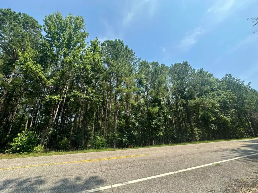 Lot 1-E Ridge Road, Appling, GA 30802 - Image #3