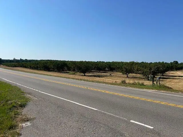 31 Parthinnia Lane, Trenton, SC 29847 - Image #2