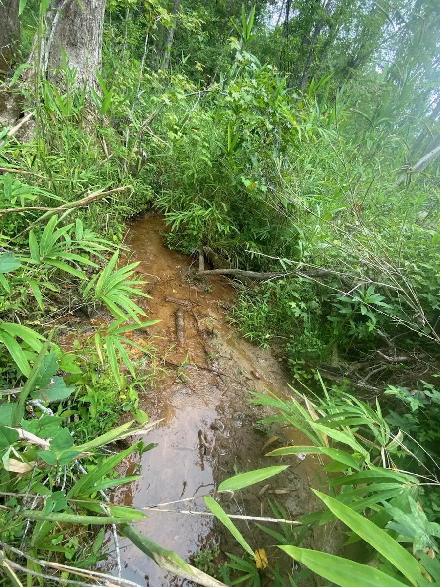 230 Crestridge Drive, Waynesboro, GA 30830 - Image #3