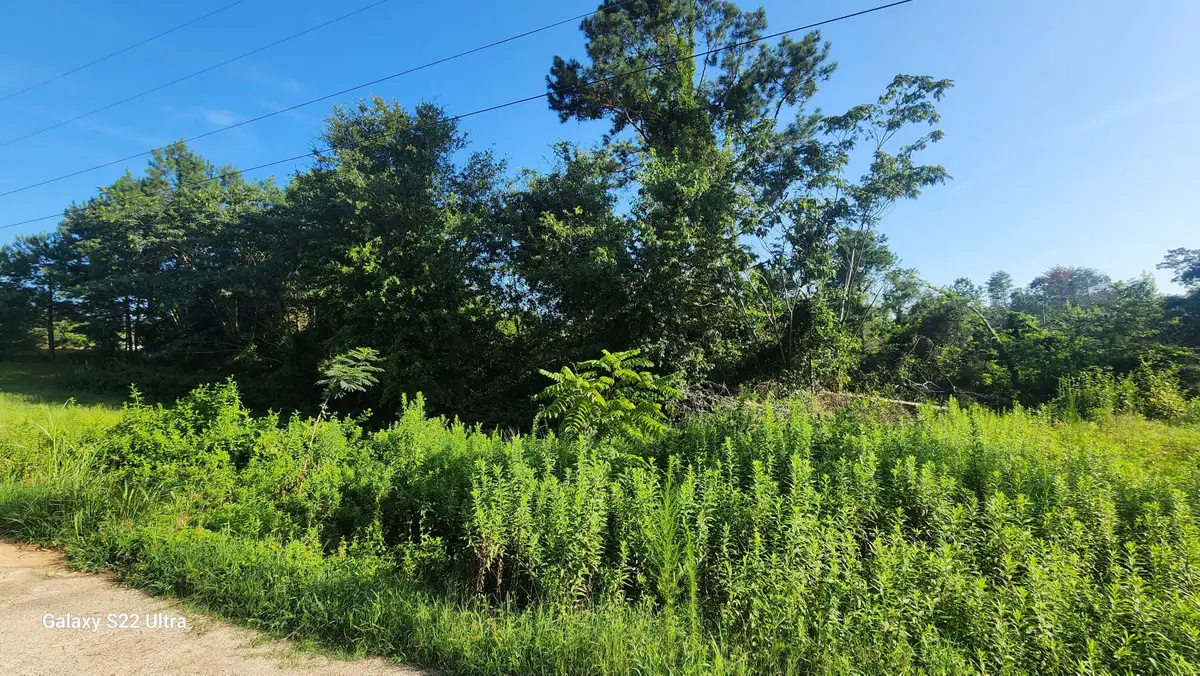 0 Prairie View Court, Waynesboro, GA 30830 - Image #1