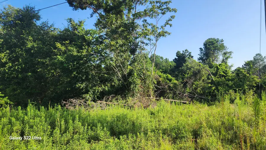 0 Prairie View Court, Waynesboro, GA 30830 - Image #3