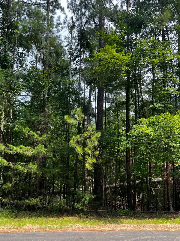 L5 B17 Creekside Cove, McCormick, SC 29835