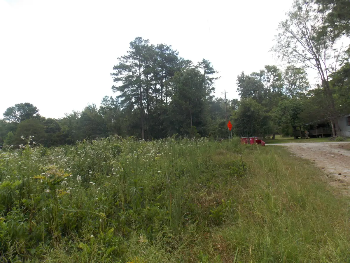 00 Chamberlain Ferry Rd, Lincolnton, GA 30817 - Image #1