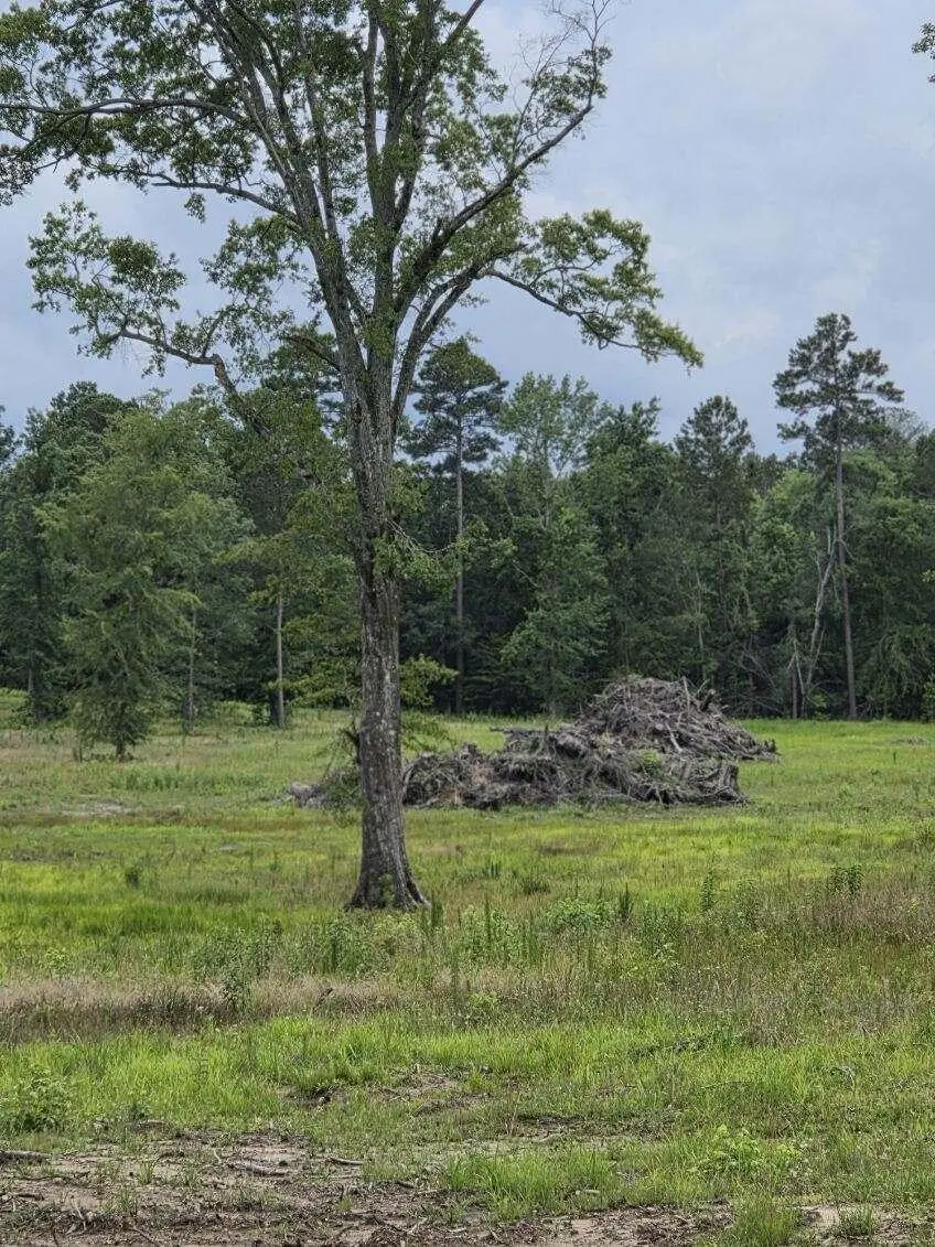 365 Shagbark Way, Harlem, GA 30814 - #3