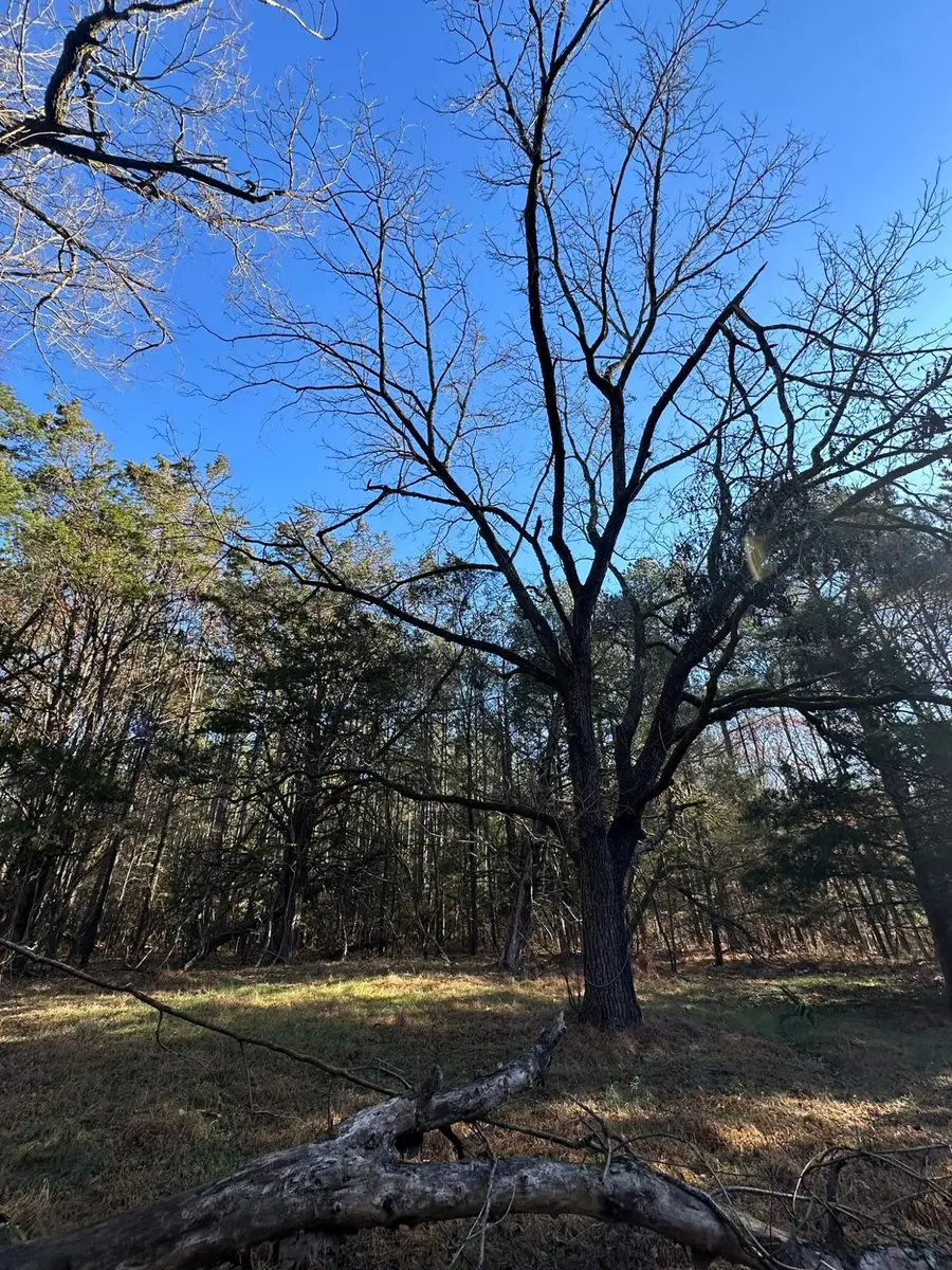 Lot 4 Saggus Road, Washington, GA 30673 - Image #2