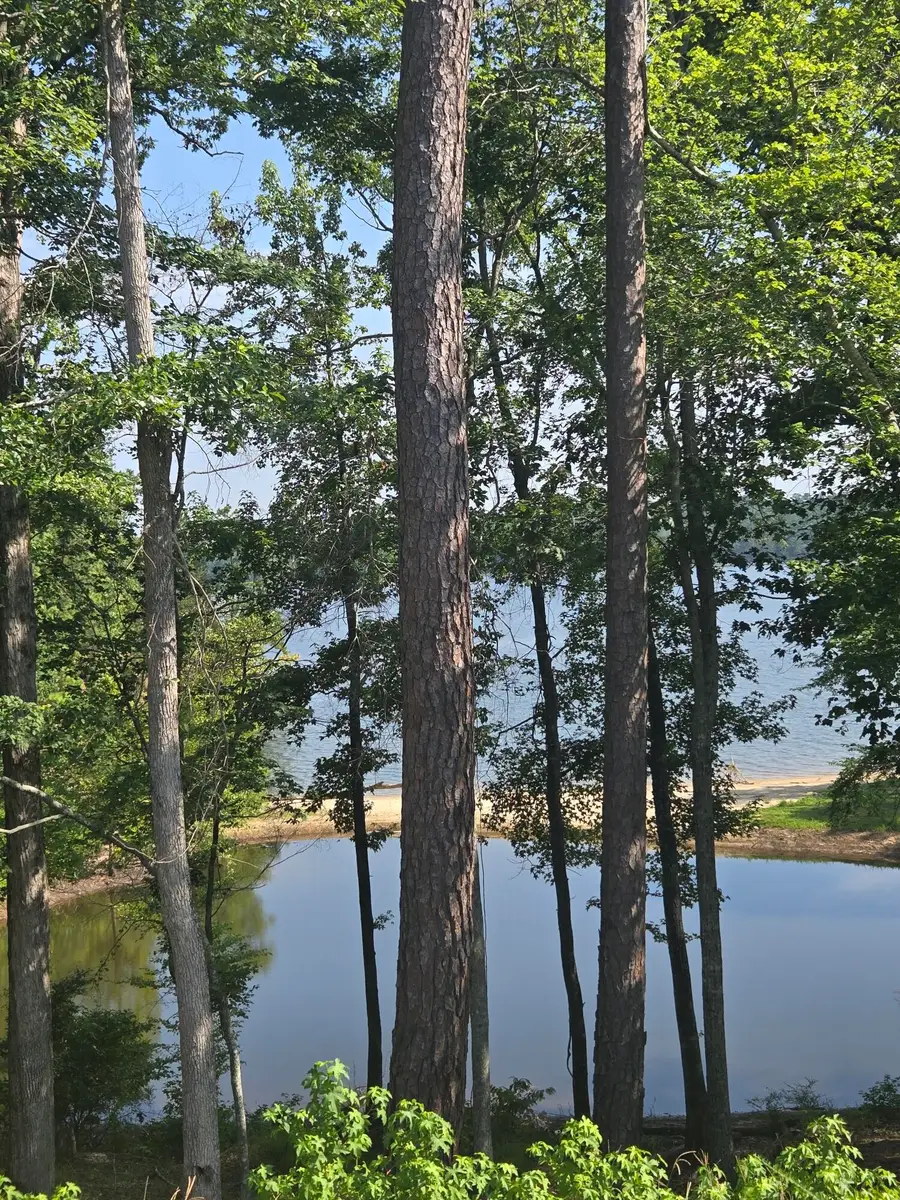 1282 Striper Cove, Tignall, GA 30817 - Image #2