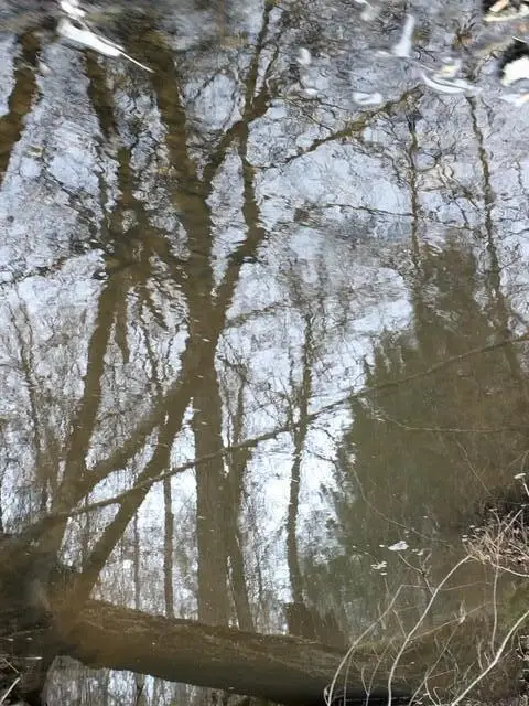 3463 Hwy 220 East, Lincolnton, GA 30817 - Image #3