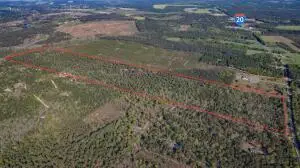 198 Migrant Camp Road, Monetta, SC 29006 - Image #1