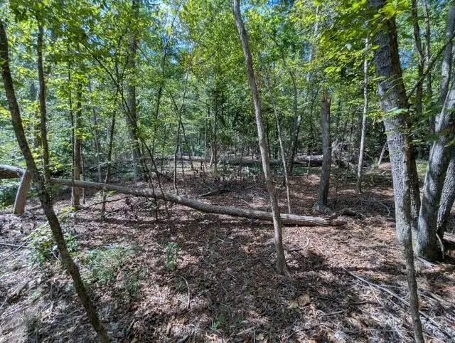 00 Marshall Drive, Appling, GA 30802 - Image #3