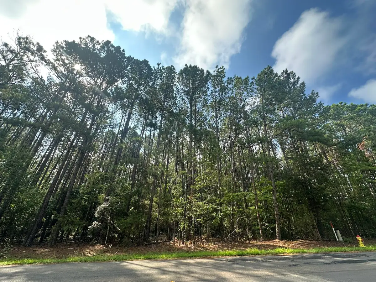 Lot 2 Dogwood Lane, Parksville, SC 29845 - Image #1