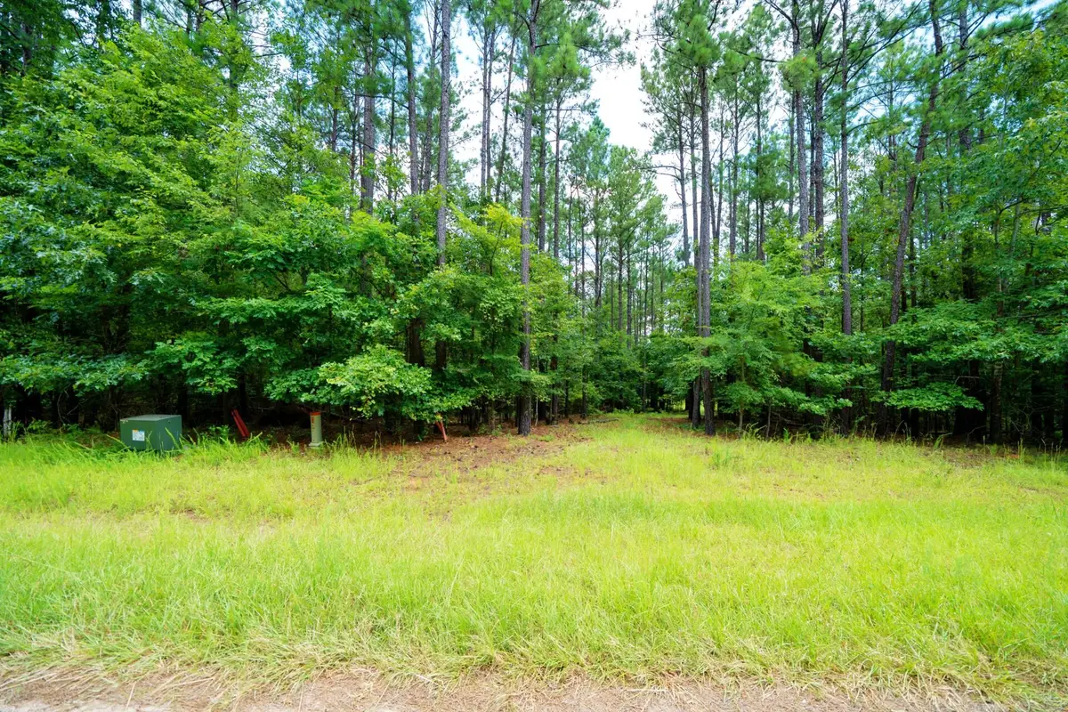 Lot 36 Savannah Ridge Road, Lincolnton, GA 30817 - Image #1