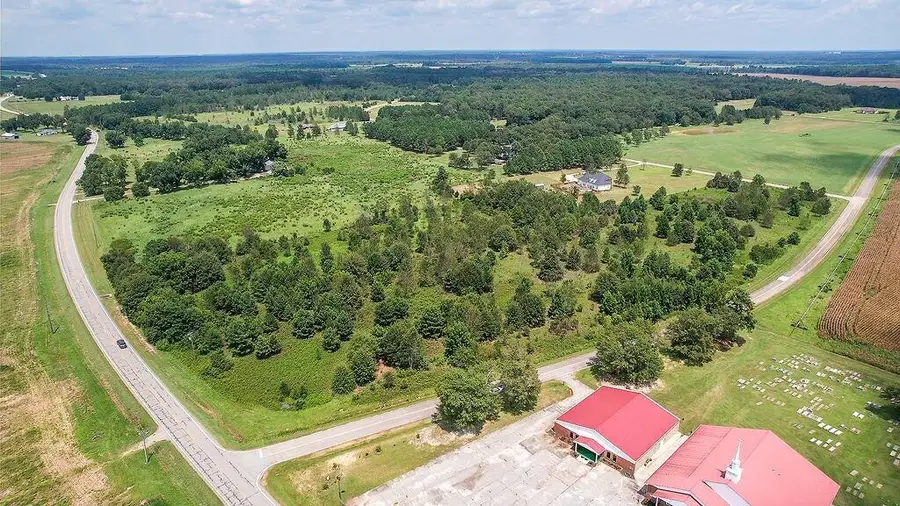 3 Stone Springfield Church Road, Stapleton, GA 30823 - Image #3