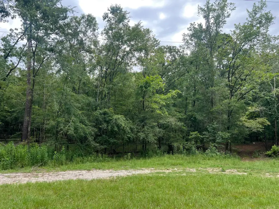 0 Dove Court, Lincolnton, GA 30817 - Image #2