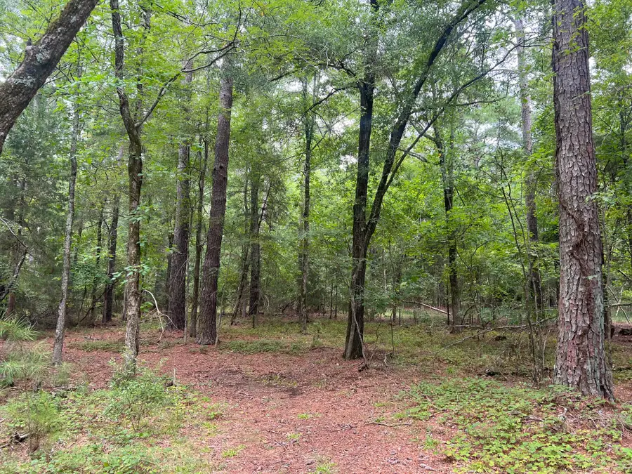 0 Dove Court, Lincolnton, GA 30817 - Image #3