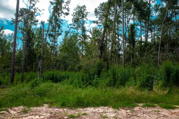 Lot 2 Furey Drive, Clarks Hill, SC 29821