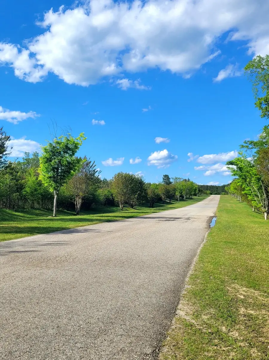 1070 Cody Trail, Tignall, GA 30668 - Image #3