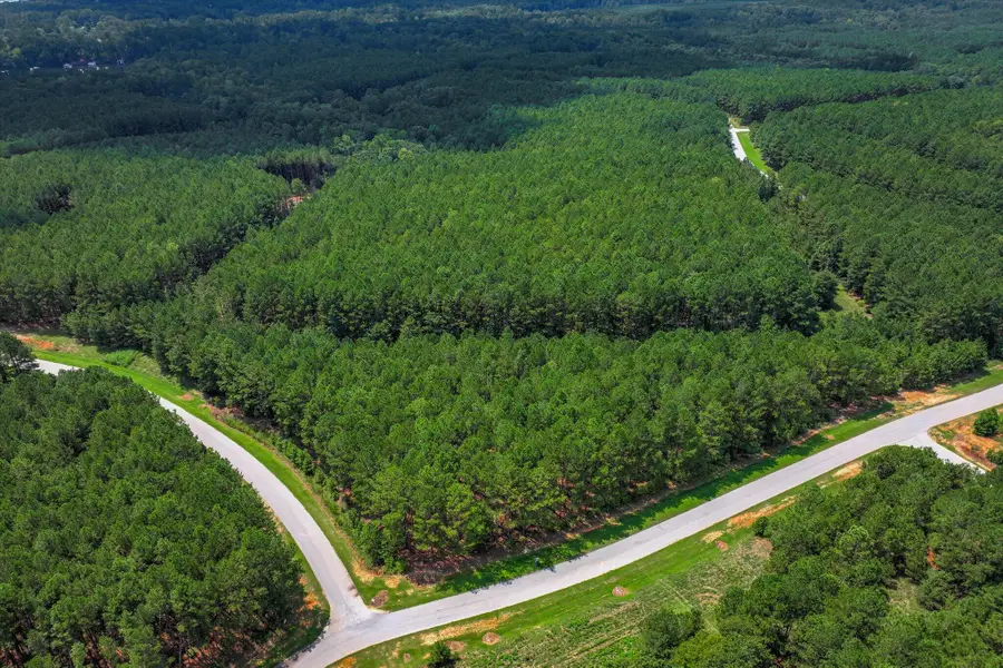 1046 Eagles Nest Trail, Tignall, GA 30668 - Image #3