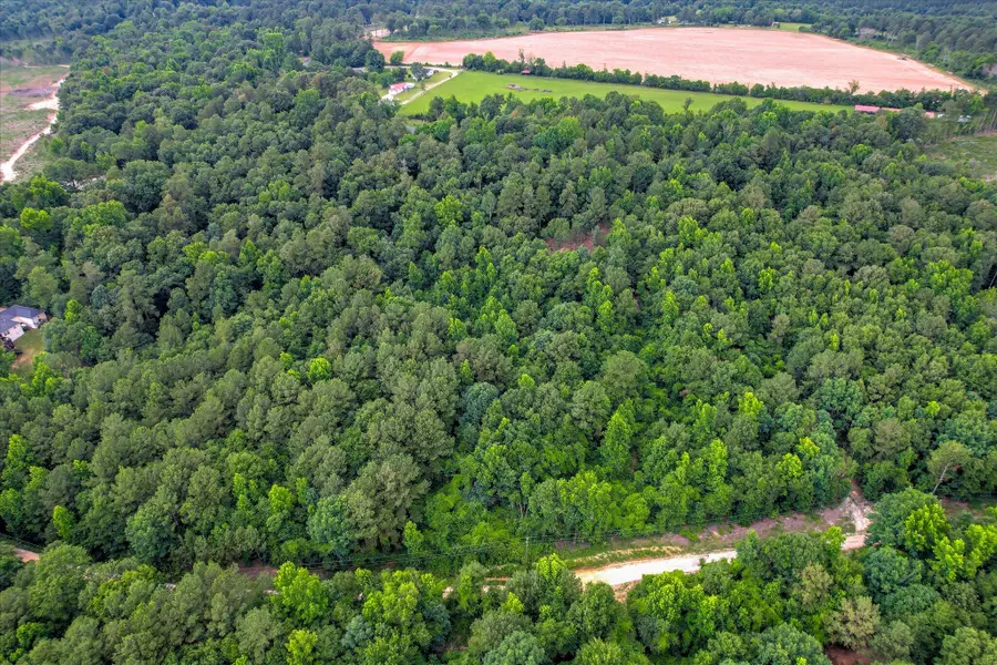 Lot 6 Cypress Point Lane, Beech Island, SC 29842 - Image #3