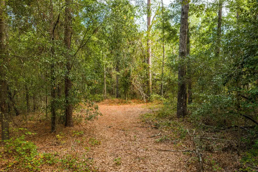 1503 Hephzibah - Mcbean Road, Hephzibah, GA 30815 - Image #2