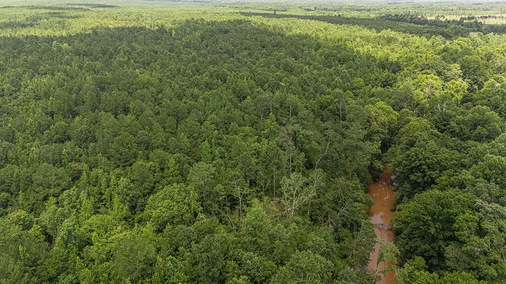 Tbd Burton Drive, Edgefield, SC 29824 - Image #1